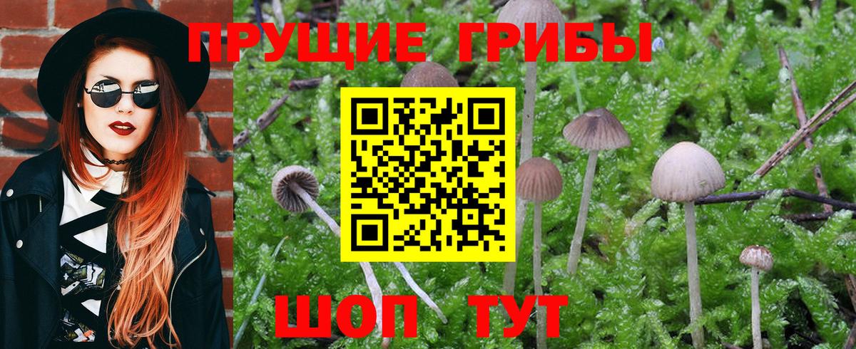 Псилоцибиновые грибы Magic Shrooms  Галлюциногенные грибы прущие грибы  Вход с VPN  купить наркотики цена  Берёзовский 